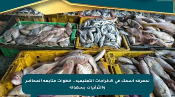 لمعرفة اسمك في الإفراجات التعليمية.. خطوات متابعة المحاضر والترقيات بسهولة